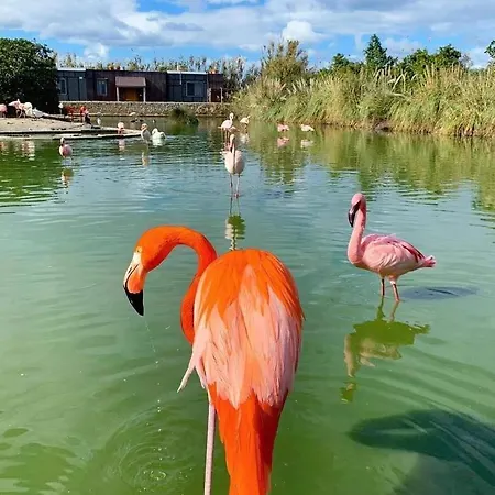 14 Daire St. Paul's Bay