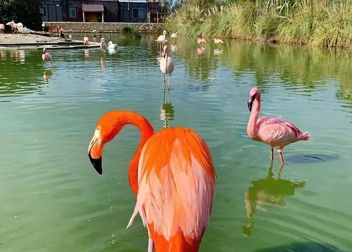 14 شقة خليج سانت بول